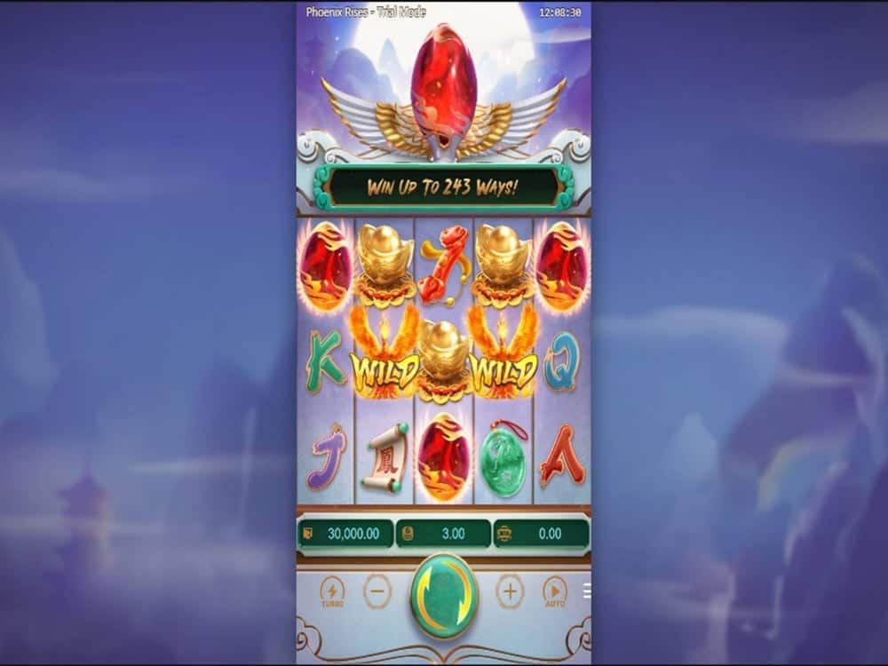 Tips Maxwin Termudah Bagi Pemula Phoenix Rises OLE777 Seru